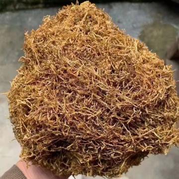 云南玉溪烟丝